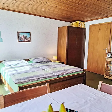 Marie Rosa-3 By Interhome Apartmán Grindelwald